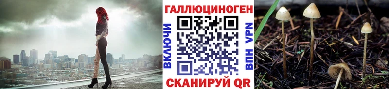 Галлюциногенные грибы MAGIC MUSHROOMS  где продают   Балашов 