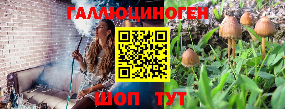 Галлюциногенные грибы MAGIC MUSHROOMS  Вход с VPN  где найти наркотики  Балашов 